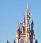 DCP 🎆 icon