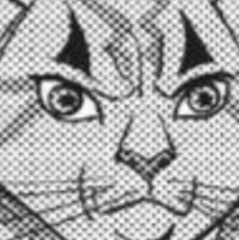 Warrior cats icon