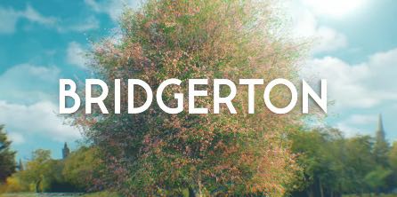 Bridgerton icon