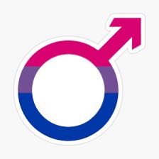 Bisexual Men icon