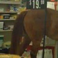 Scooter hate page icon