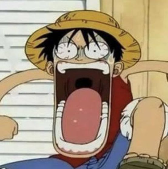 One Piece icon